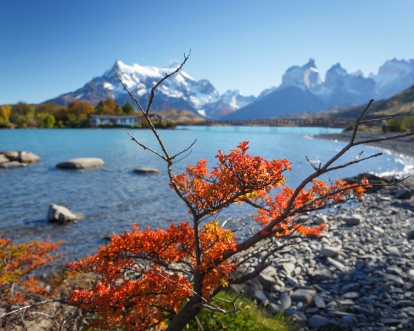Best Tourist Routes in Patagonia | .TR