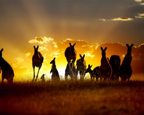 Australian Tourism Industry Faces New Measures | .TR