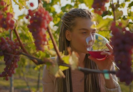 WINE TOURISM IN ITALY DRIVES GROWTH IN THE TRAVEL SECTOR