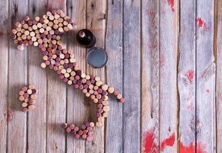 ITALIAN WINE TOURISM BOOMS BUT FACES COORDINATION AND DIGITAL CHALLENGES
