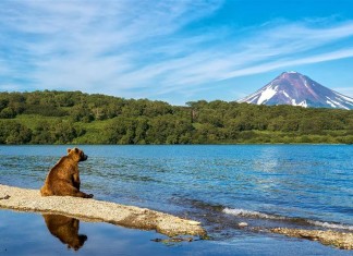 RUSSIAN INBOUND TOURISM COLLAPSED LAST YEAR