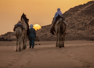 TOURISM IN THE ALGERIAN SAHARA REVIVING