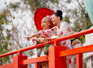 JAPAN SAW A REMARKABLE BOOM OF FOREIGN VISITORS