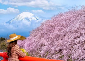 JAPAN INTRODUCES MOUNT FUJI TICKET SYSTEM