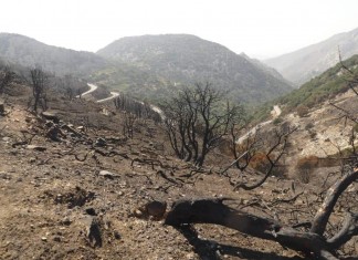 GREECE FEARS A SWELTERING SUMMER AND FOREST FIRES