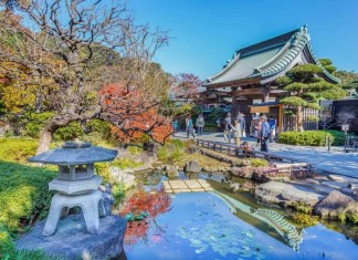 VISITOR NUMBERS AND REVENUES IN JAPAN ARE AT RECORD LEVELS
