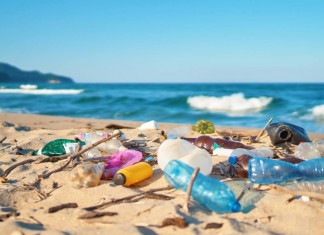 TOURIST WASTE BOTHERS ALGARVE