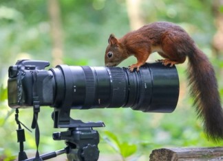 THE DOCUMENTARY EFFECT: FACT-BASED INSPIRATION SHAPES TRAVEL