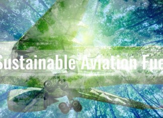 EUROPEAN AIRLINES DEMAND DELAY ON EU'S GREEN FUEL PUSH