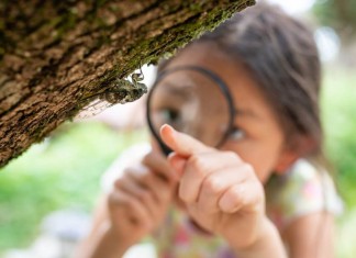 A NEW TREND IN WILDLIFE TOURISM: THE MICRO-SAFARIS OUTSHINE THE BIG FIVE