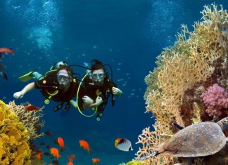 TOP FIVE MOST FANTASTIC DIVING SPOTS WORLDWIDE