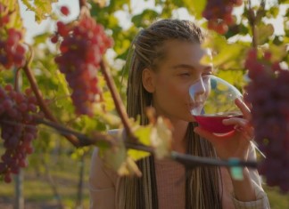WINE TOURISM IN ITALY DRIVES GROWTH IN THE TRAVEL SECTOR